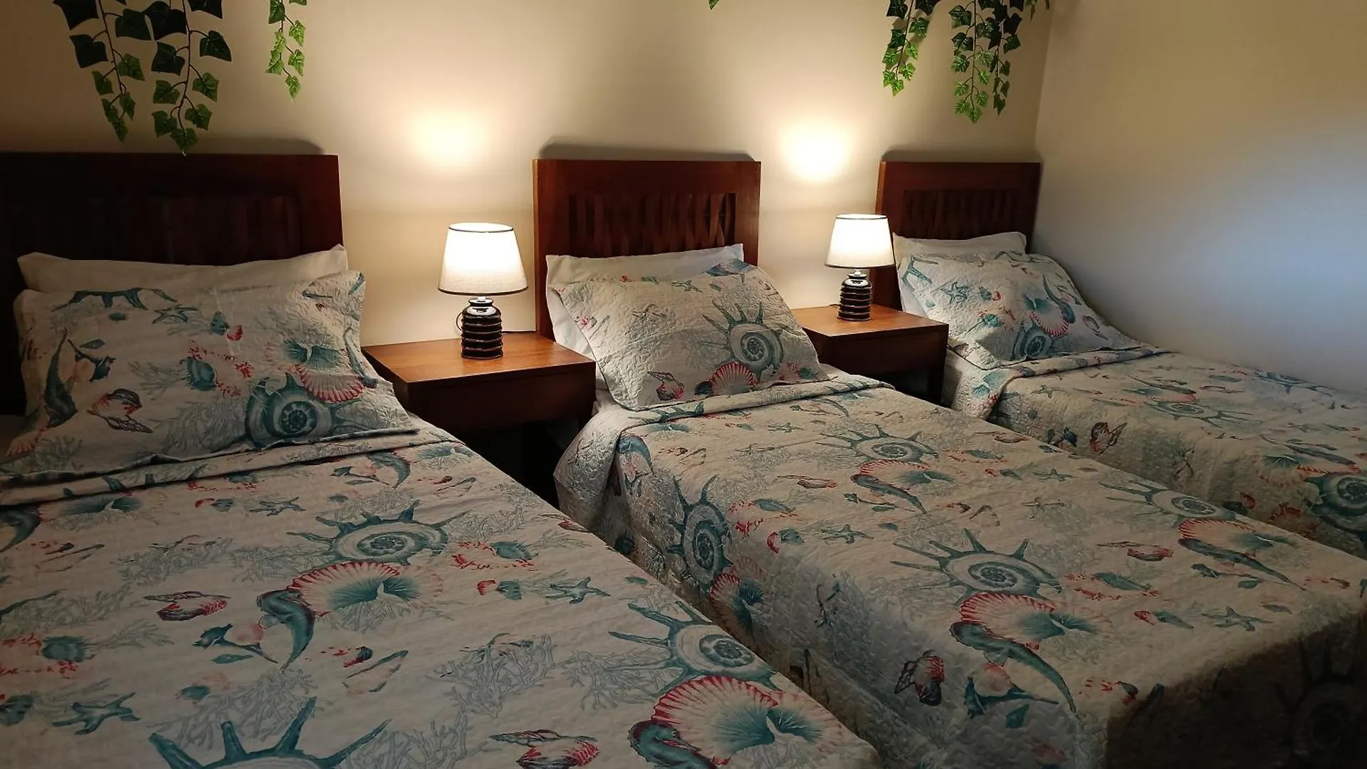 Apartmán Casa Charmosa A Poucos Metros Do Mar! Porto Seguro